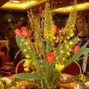 DSC04640